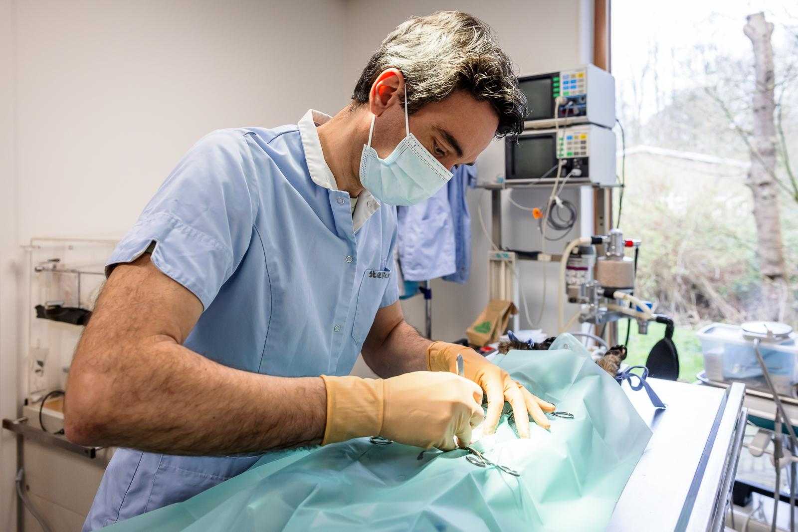 Dierenhospitaal Den Haag - foto Simone Janssen